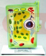 	TYPICAL PLANT CELL